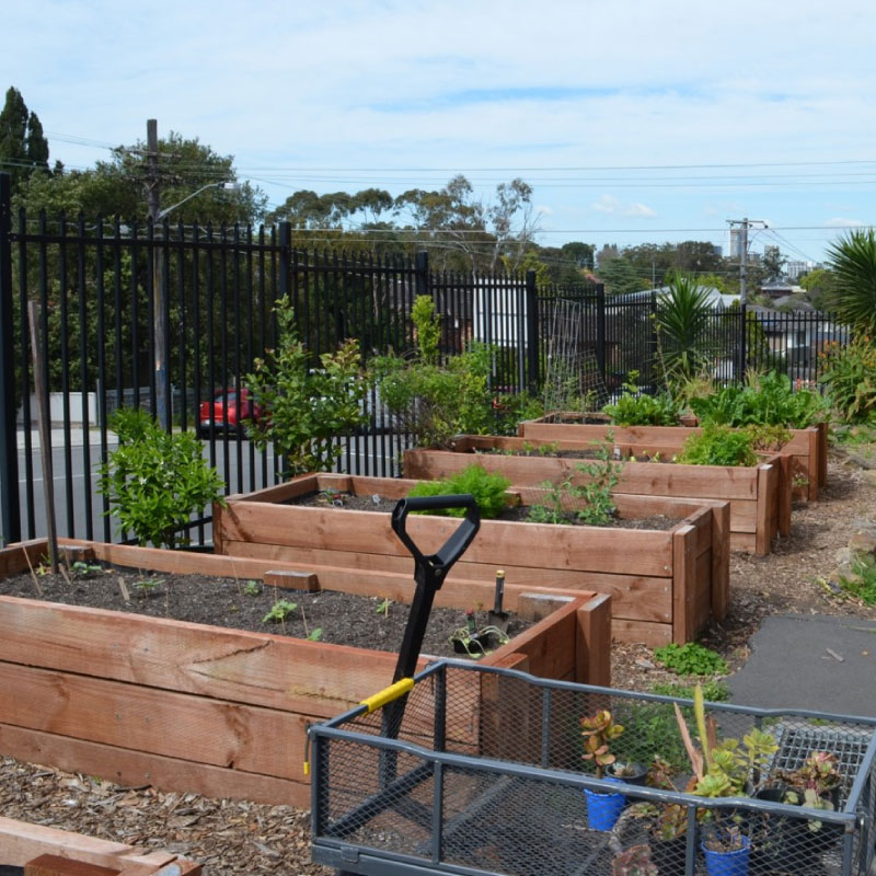 Edible Gardens In Schools | City Of Ryde