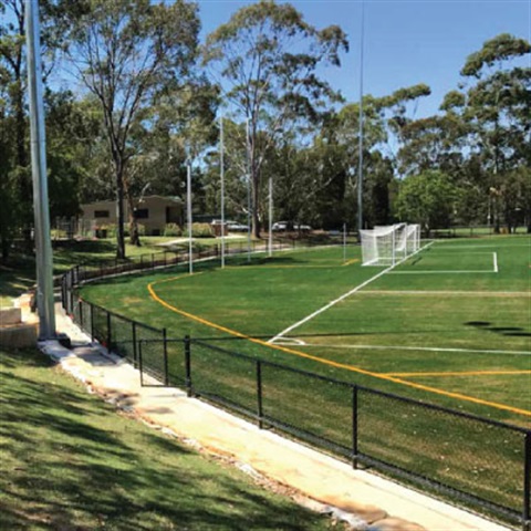 Synthetic Surface Action Plans 2016 - 2026 | City of Ryde