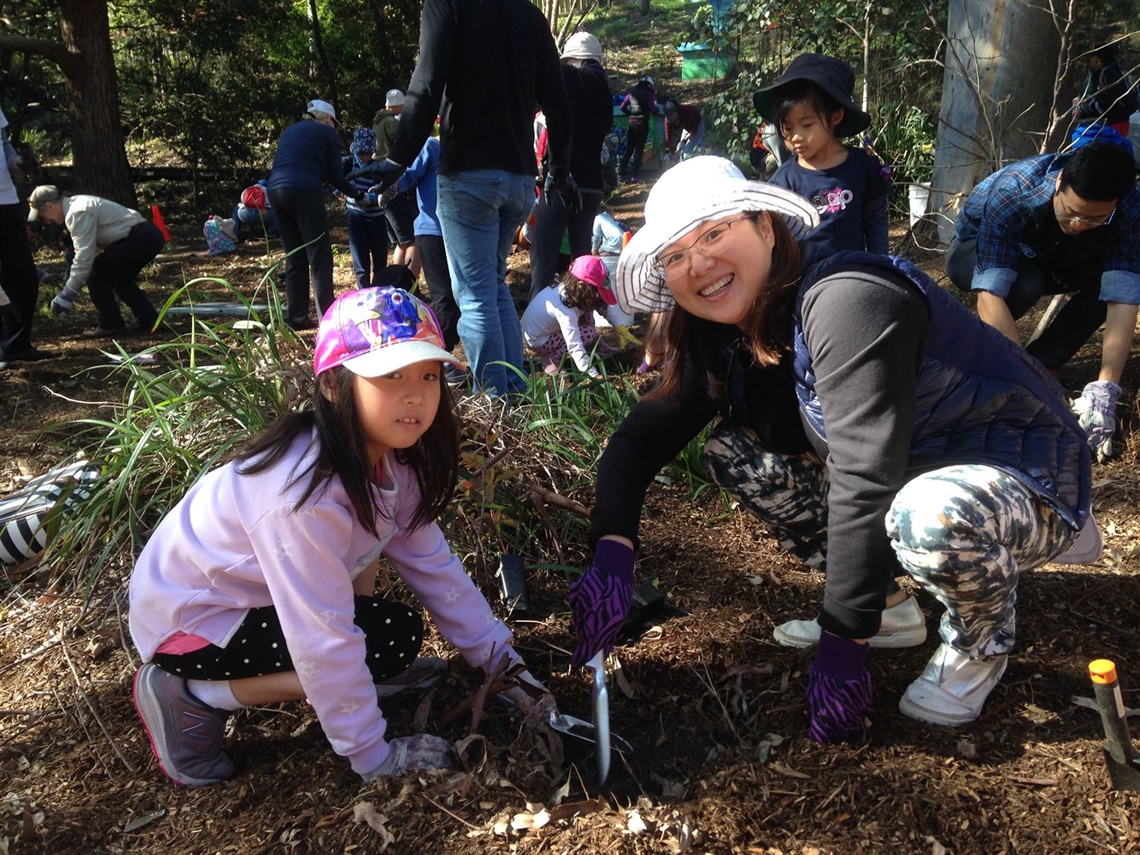 Active Kids: Guided Walk and Tree Planting / 5-12 Yrs / Gladesville