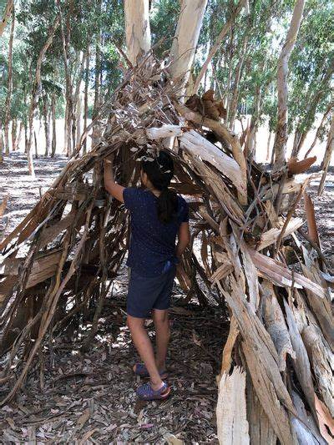 Active Kids: Survival Skills and Fort Build / 5-12 yrs / Field of Mars